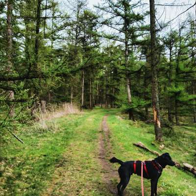 aktuelles Foto Gruppe Wandern und Outdoor