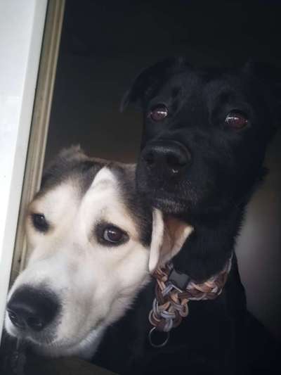 Was hat euch heute gefreut?-Beitrag-Bild