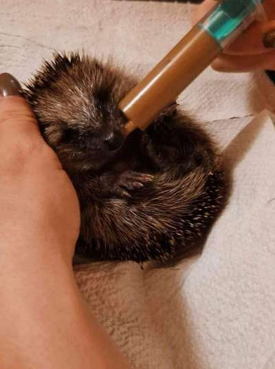 Was hat euch heute genervt?-Beitrag-Bild