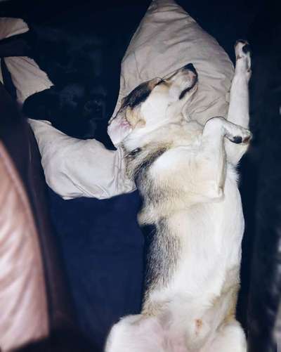 Schlafposition-Beitrag-Bild