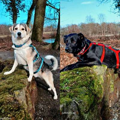 Was hat euch heute gefreut?-Beitrag-Bild