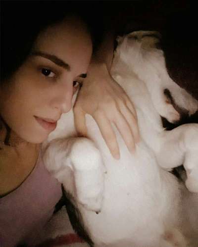 85. Foto Challenge : Schosshund-Beitrag-Bild