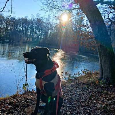 Was hat euch heute gefreut?-Beitrag-Bild