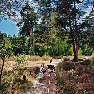 aktuelles Foto Gruppe Wandern und Outdoor