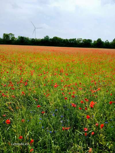 Was hat euch heute gefreut?-Beitrag-Bild