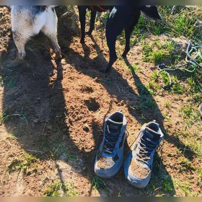 Was hat euch heute gefreut?-Beitrag-Bild