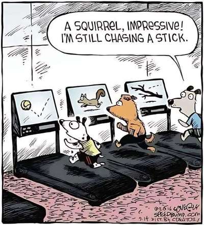 Hunde Memes-Beitrag-Bild