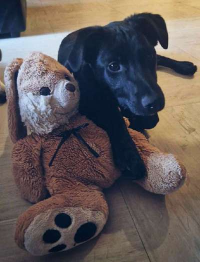 Zeigt eure Portraits-Beitrag-Bild