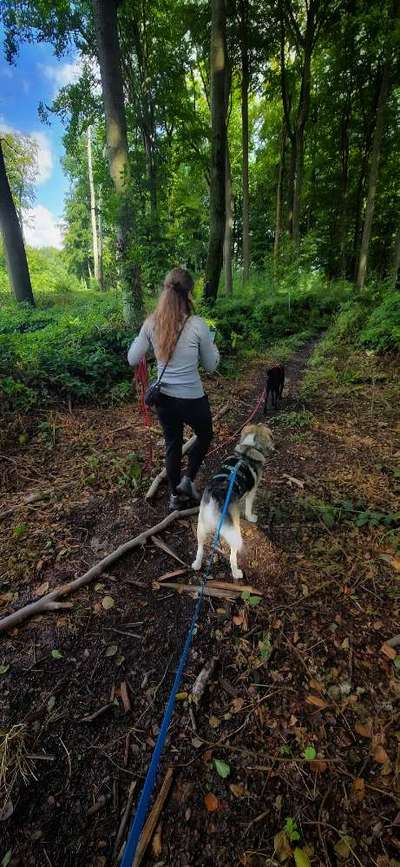 Was hat euch heute gefreut?-Beitrag-Bild