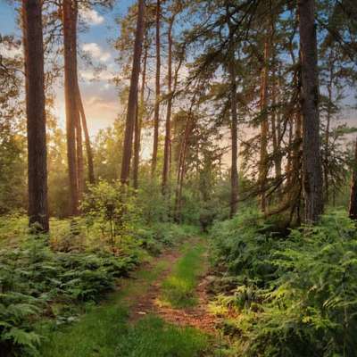 aktuelles Foto Gruppe Wandern und Outdoor