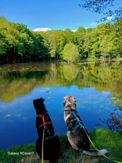 Was hat euch heute gefreut?-Beitrag-Bild