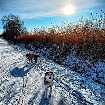 Was hat euch heute gefreut?-Beitrag-Bild