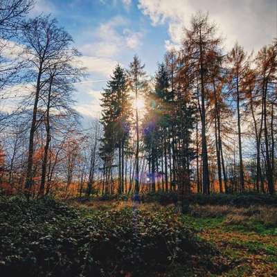 aktuelles Foto Gruppe Wandern und Outdoor