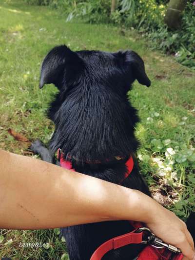 Was hat euch heute gefreut?-Beitrag-Bild