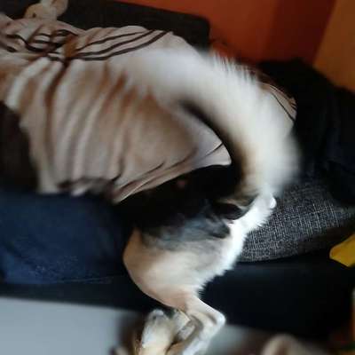 Was hat euch heute gefreut?-Beitrag-Bild