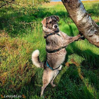 Was hat euch heute gefreut?-Beitrag-Bild