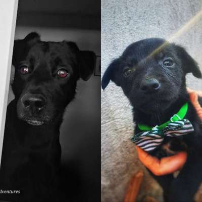 Ach, wie schnell die Zeit vergeht-Beitrag-Bild