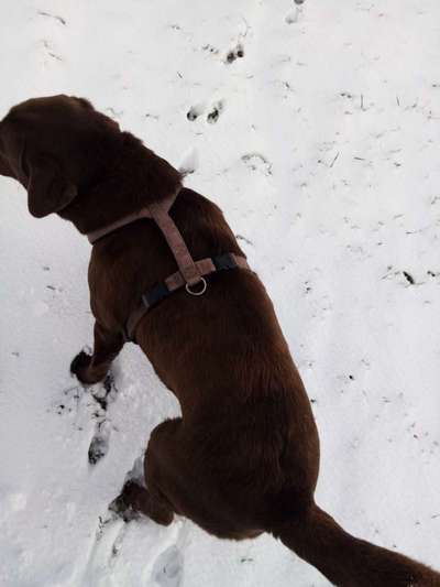 Verletzende Sprüche/Kommentare von anderen-Beitrag-Bild