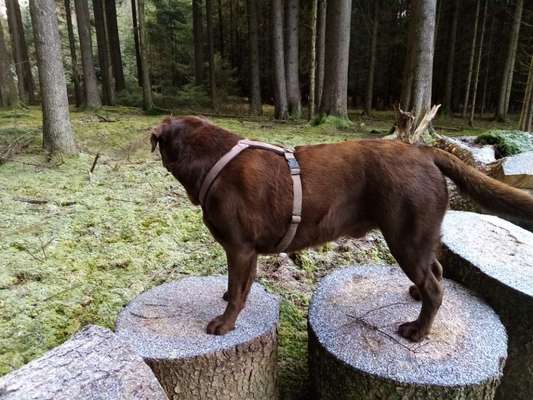 Verletzende Sprüche/Kommentare von anderen-Beitrag-Bild