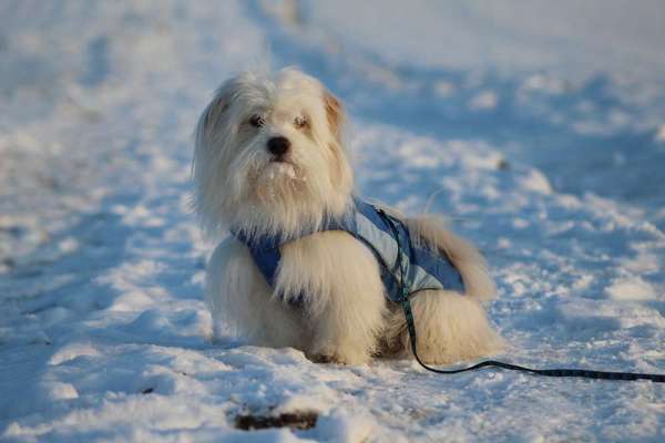 Pullis, Jacken, Hütte und alles sonstiges-Beitrag-Bild