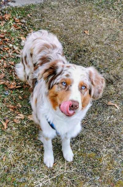 Tongue Out Tuesday-Beitrag-Bild