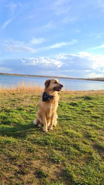 Fotochallenge No. 26                                     Wald und Wiese-Beitrag-Bild