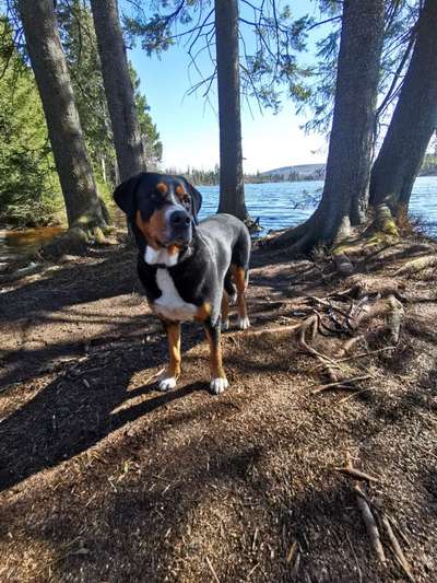 Fotowettbewerb Natur-Beitrag-Bild