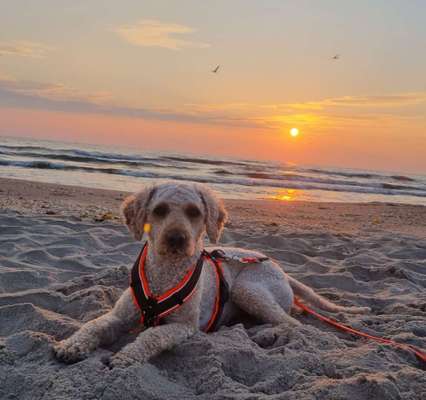 Sonnenaufgänge oder - untergänge-Beitrag-Bild