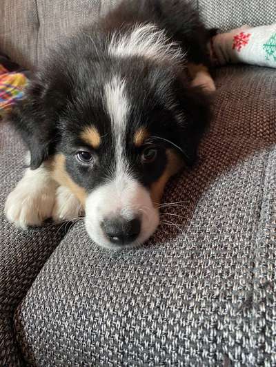 Sie werden so schnell erwachsen ...-Beitrag-Bild