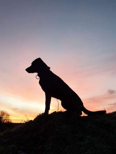 Fotochallenge Nr 107-Beitrag-Bild