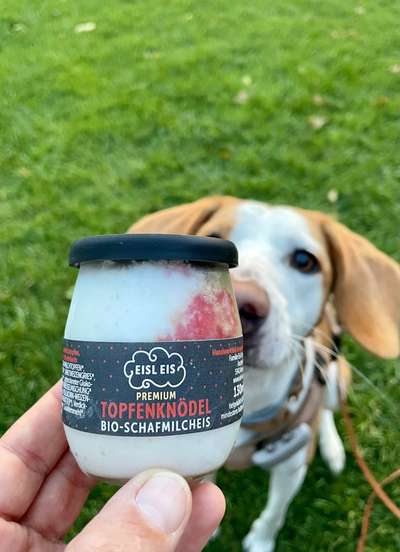 154. FotoChallenge * AUFS BILD GEMOGELT *-Beitrag-Bild