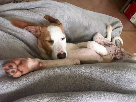 Foto Challenge - Zeigt her eure Bäuche-Beitrag-Bild