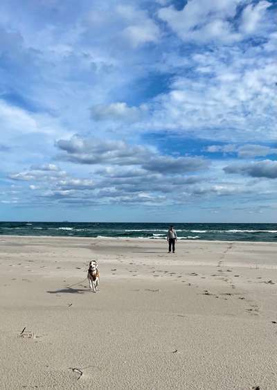 156. Fotochallenge *** DEIN HUND UND DIE WUNDERSCHÖNEN WOLKEN ***-Beitrag-Bild