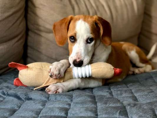 150. Foto Challaenge:  Die Augen, der Spiegel der Seele-Beitrag-Bild