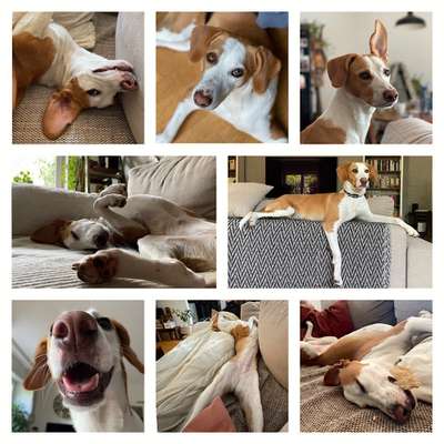 53. Collage Challenge - Verschiedene Blickwinkel-Beitrag-Bild