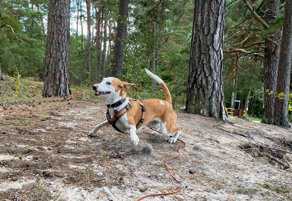 FOTO CHALLENGE Thema ,,durchdrehen"-Beitrag-Bild