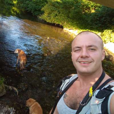 Hundetreffen-wandern und grillen.. mini hünd sind verspielt aber e chli älter daher gnueg zit iplane ;)-Profilbild