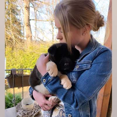 Hundetreffen-Welpentreffen-Profilbild