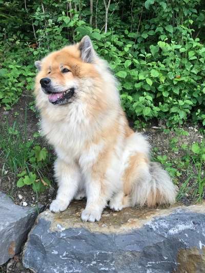 Fotochallenge Nr. 56 - geliebte Senioren-Beitrag-Bild