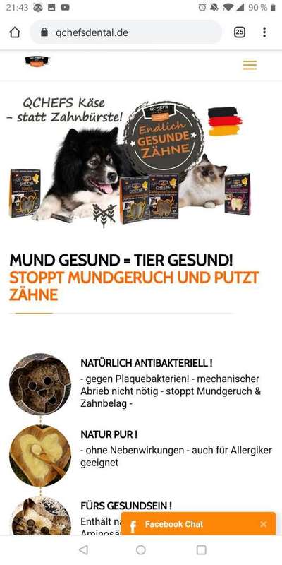 Zahnpflege beim Hund-Beitrag-Bild