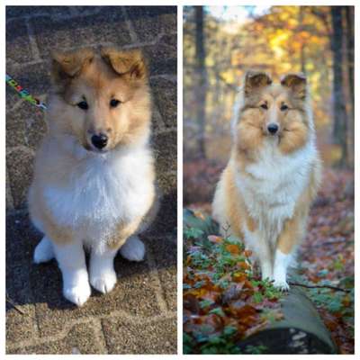 Vorher.... Nachher-Beitrag-Bild