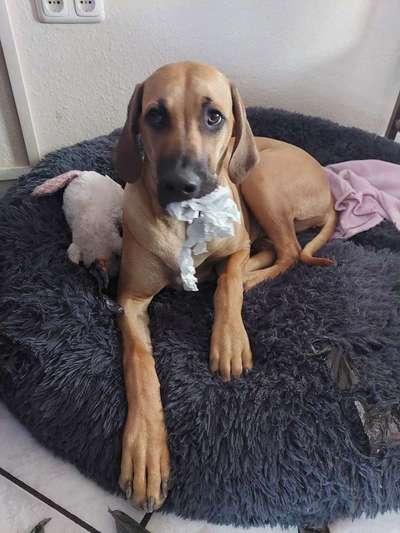 Lieblingsbild-Beitrag-Bild