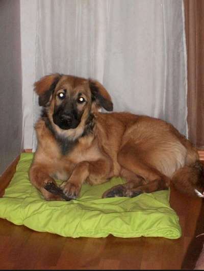 Lieblingsbild-Beitrag-Bild