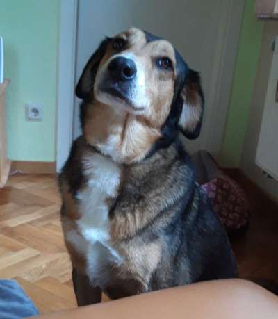 Erfolgsgeschichten gesucht-Beitrag-Bild