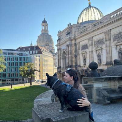 Hundetreffen-Hundebegegnung üben