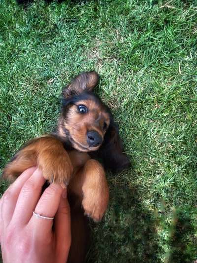 Theos Fotochallange Nummer 4-Beitrag-Bild