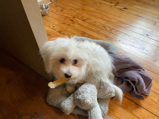 Fotochallenge Nr. 64-Beitrag-Bild