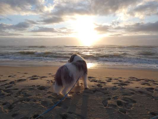 Fotochallenge Nr. 62 Romantische Momente-Beitrag-Bild