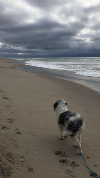 Fotochallenge Nr 50 Vom Winde verweht-Beitrag-Bild