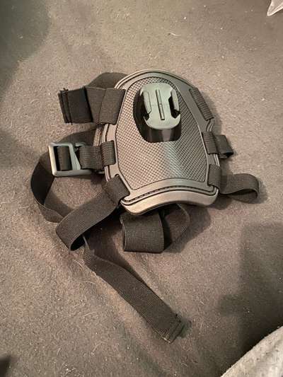 Französische Bulldoggen-Beitrag-Bild